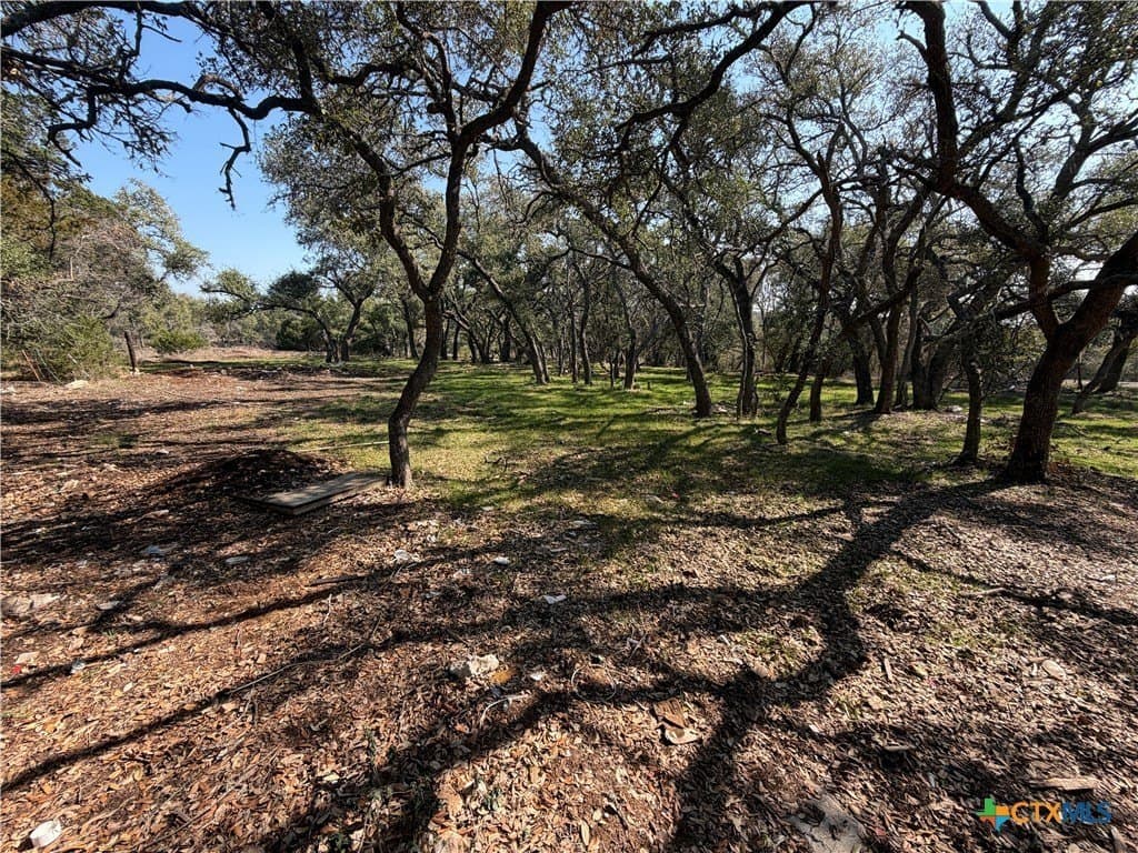 2.8 acres in Comal County - photo 8
