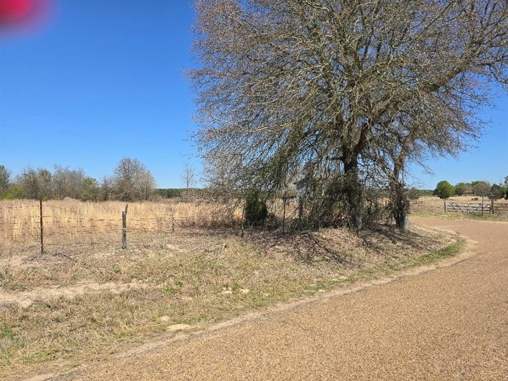 33.83 acres in Henderson County - photo 6