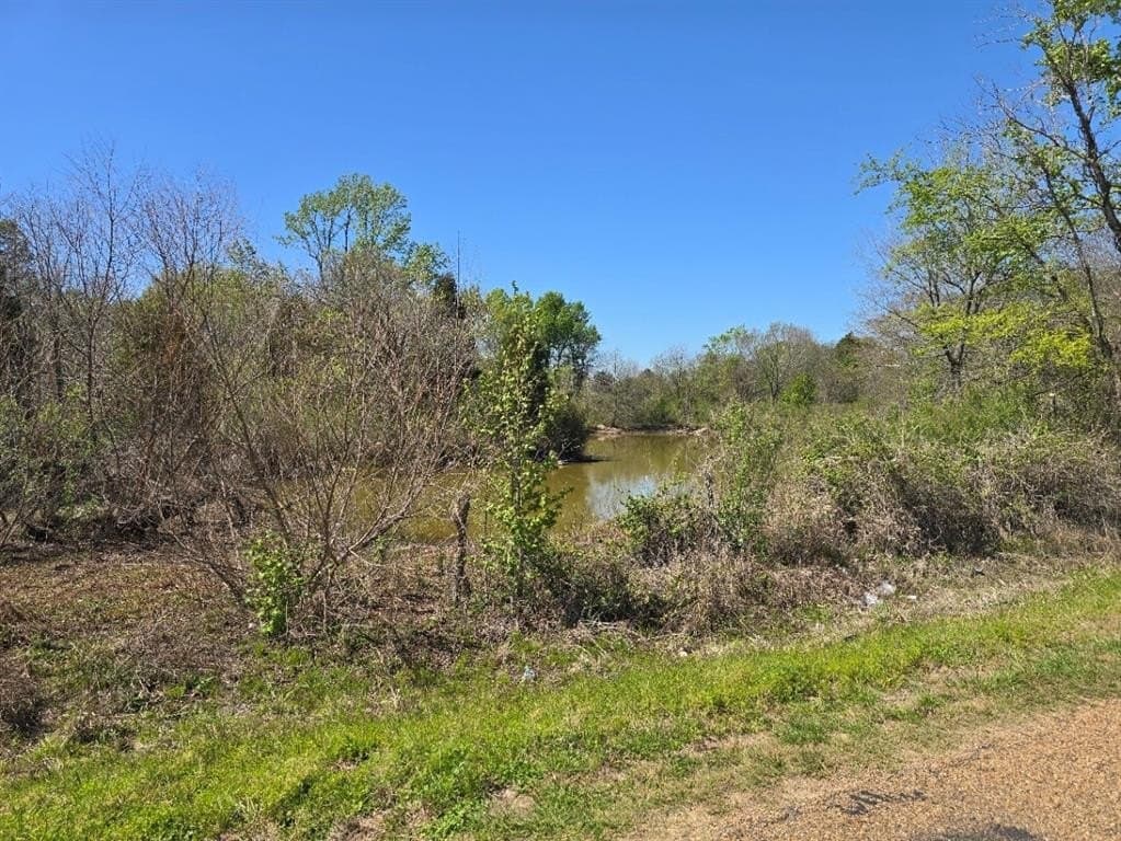 33.83 acres in Henderson County - photo 3