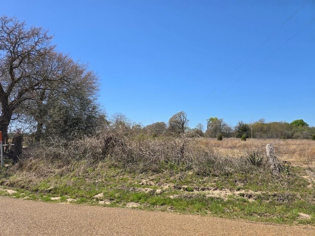 33.83 acres in Henderson County - photo 10