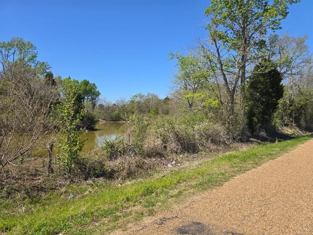 33.83 acres in Henderson County - photo 11