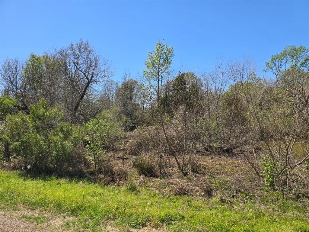33.83 acres in Henderson County - photo 12