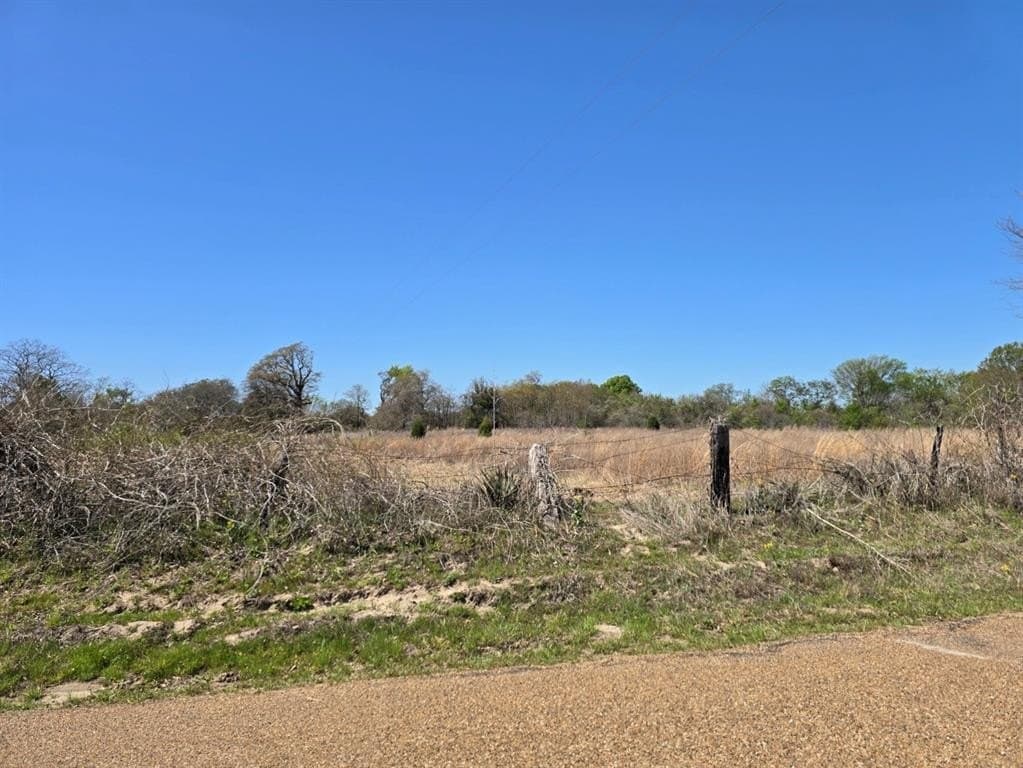 33.83 acres in Henderson County - photo 8
