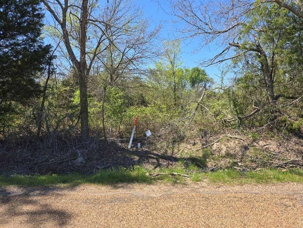 33.83 acres in Henderson County - photo 2