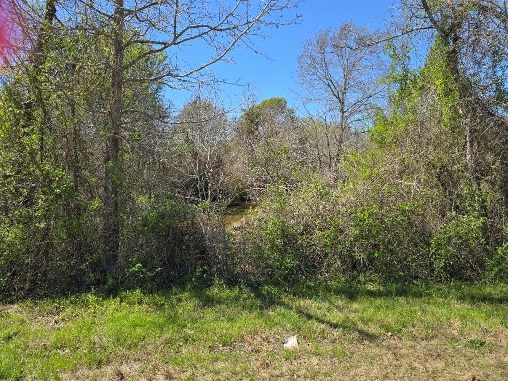 33.83 acres in Henderson County - photo 4