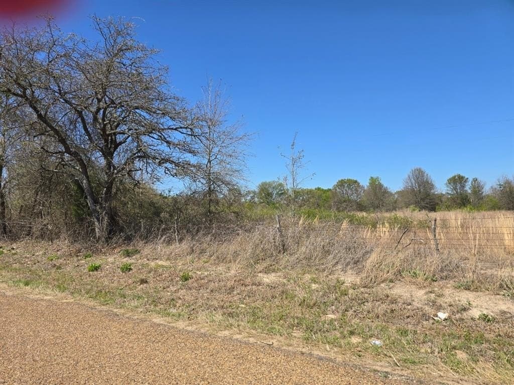 33.83 acres in Henderson County - photo 5
