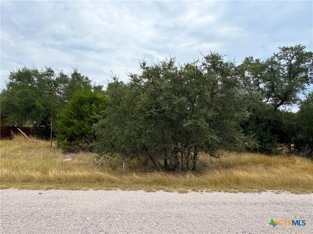 0.2 acres in Blanco County - photo 7