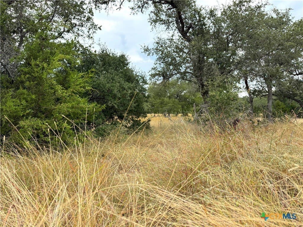 0.2 acres in Blanco County - photo 8