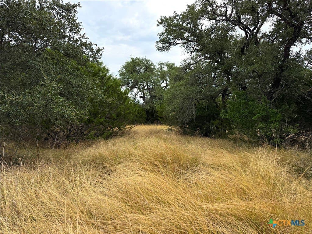 0.2 acres in Blanco County - photo 6