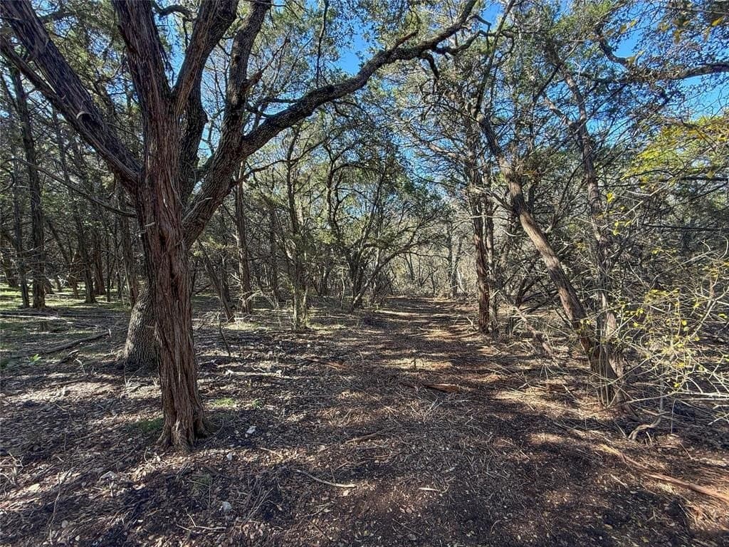 103.68 acres in McLennan County - photo 14