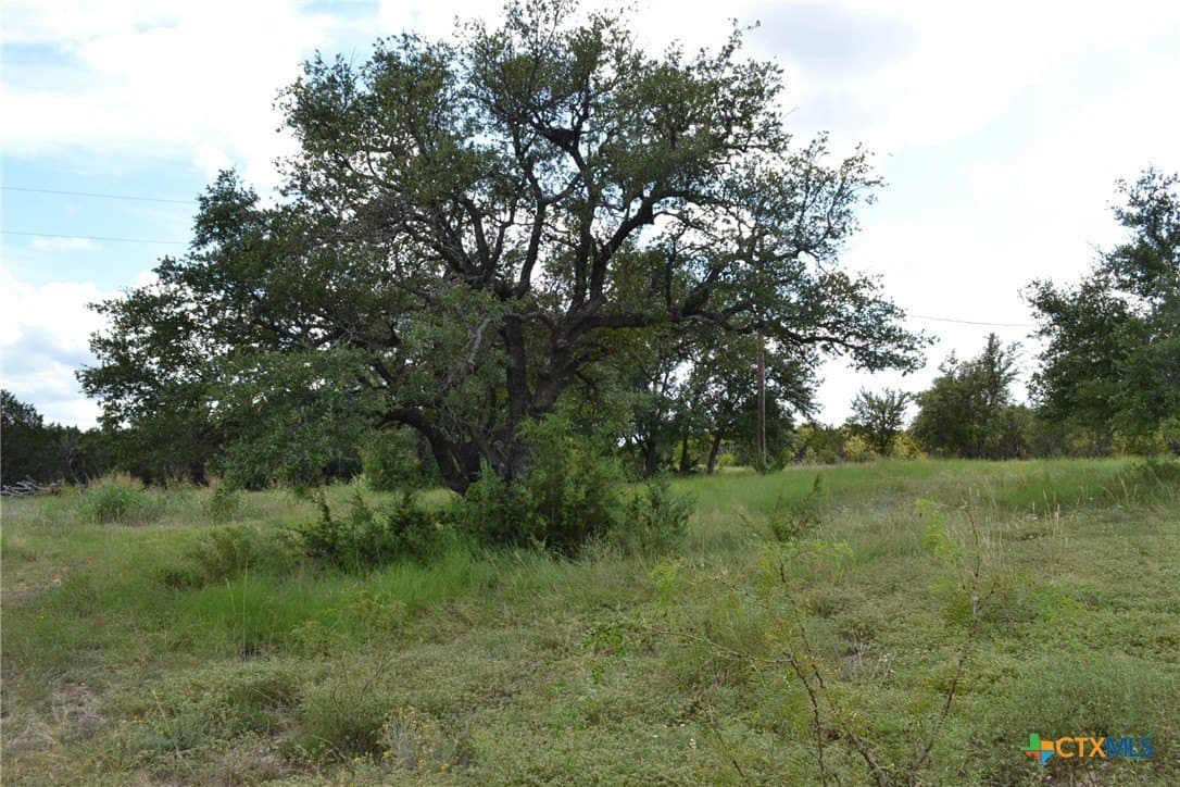 13.83 acres in Coryell County - photo 38
