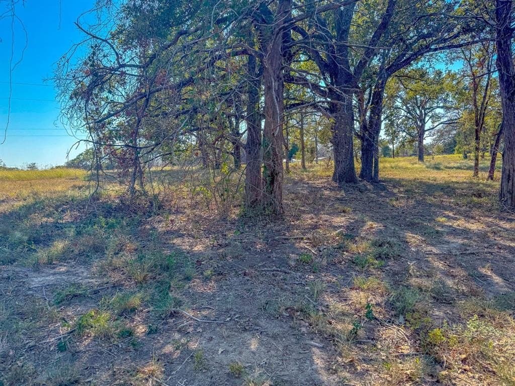1.01 acres in Navarro County - photo 19