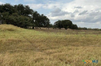 189.53 acres in Karnes County - photo 9
