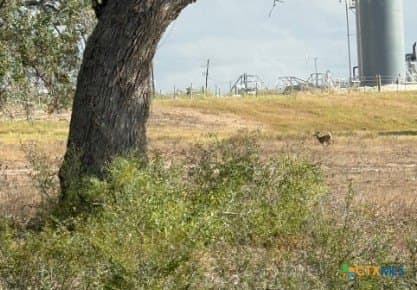189.53 acres in Karnes County - photo 4