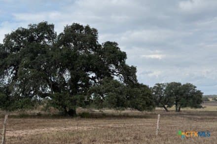 189.53 acres in Karnes County - photo 10
