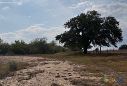 189.53 acres in Karnes County - photo 15