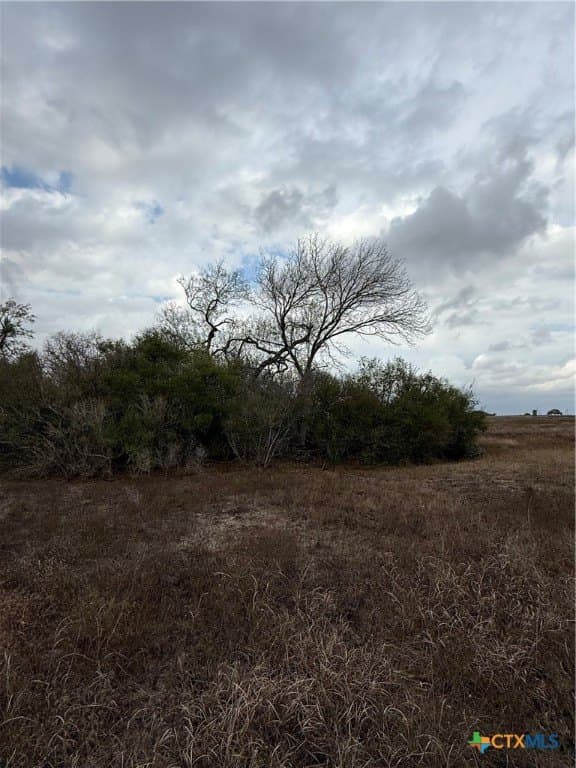 189.53 acres in Karnes County - photo 38