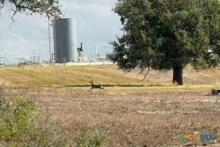 189.53 acres in Karnes County - photo 16