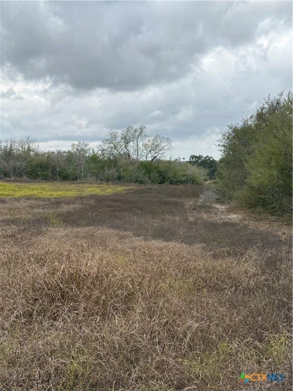189.53 acres in Karnes County - photo 37