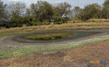 189.53 acres in Karnes County - photo 14