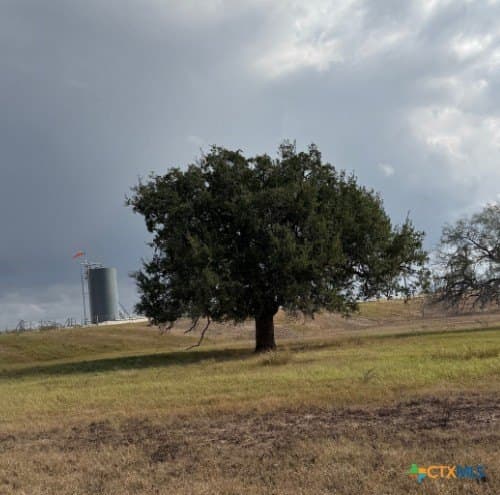 189.53 acres in Karnes County - photo 22