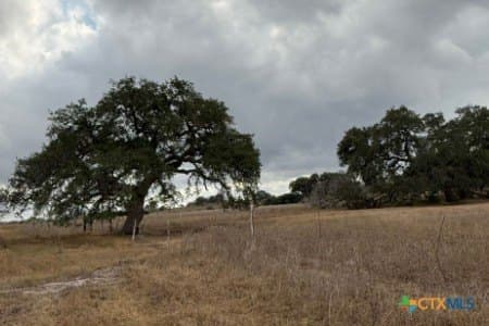 189.53 acres in Karnes County - photo 5