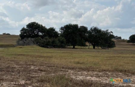 189.53 acres in Karnes County - photo 13