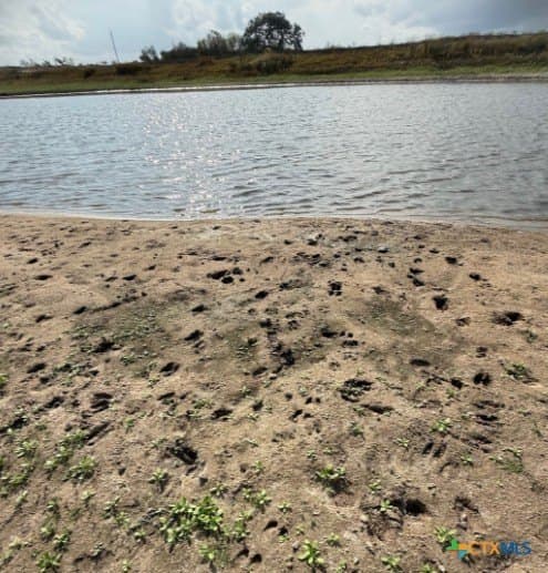 189.53 acres in Karnes County - photo 21