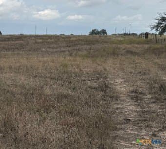 189.53 acres in Karnes County - photo 12