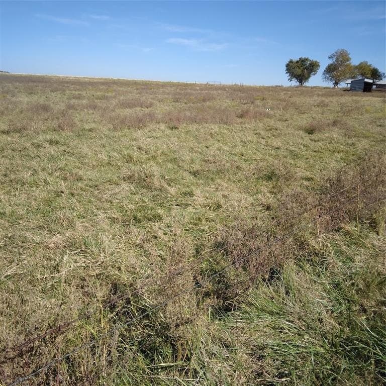 1.97 acres in Cooke County - photo 4