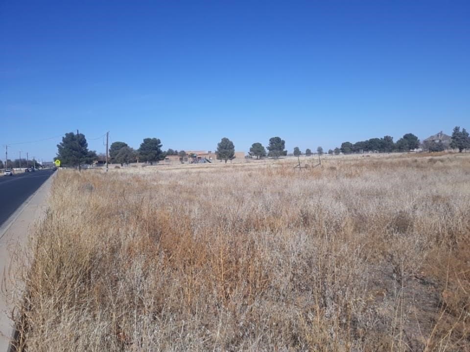 3.56 acres in Midland County - photo 3