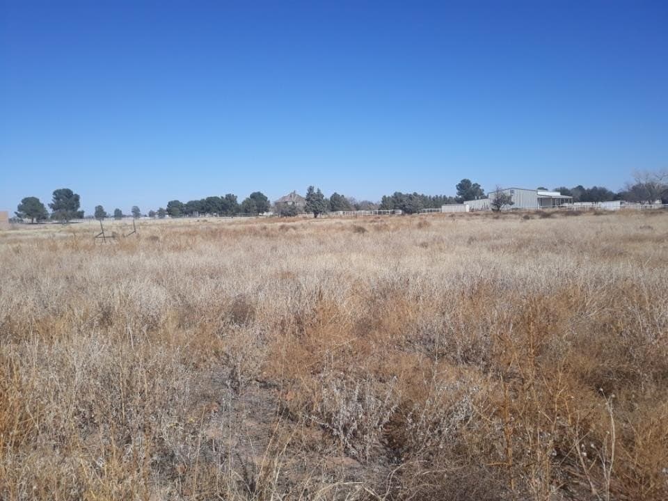 3.56 acres in Midland County - photo 2