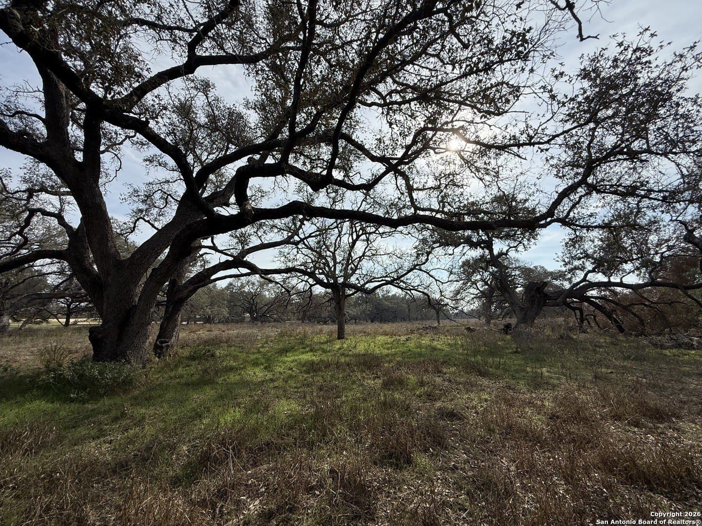 10.87 acres in Wilson County - photo 11