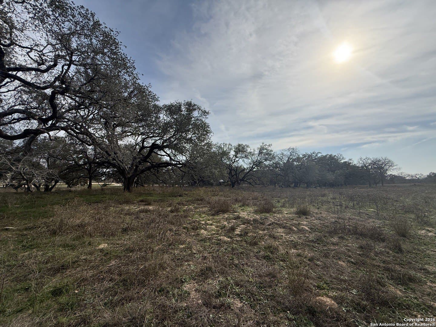 10.87 acres in Wilson County - photo 24