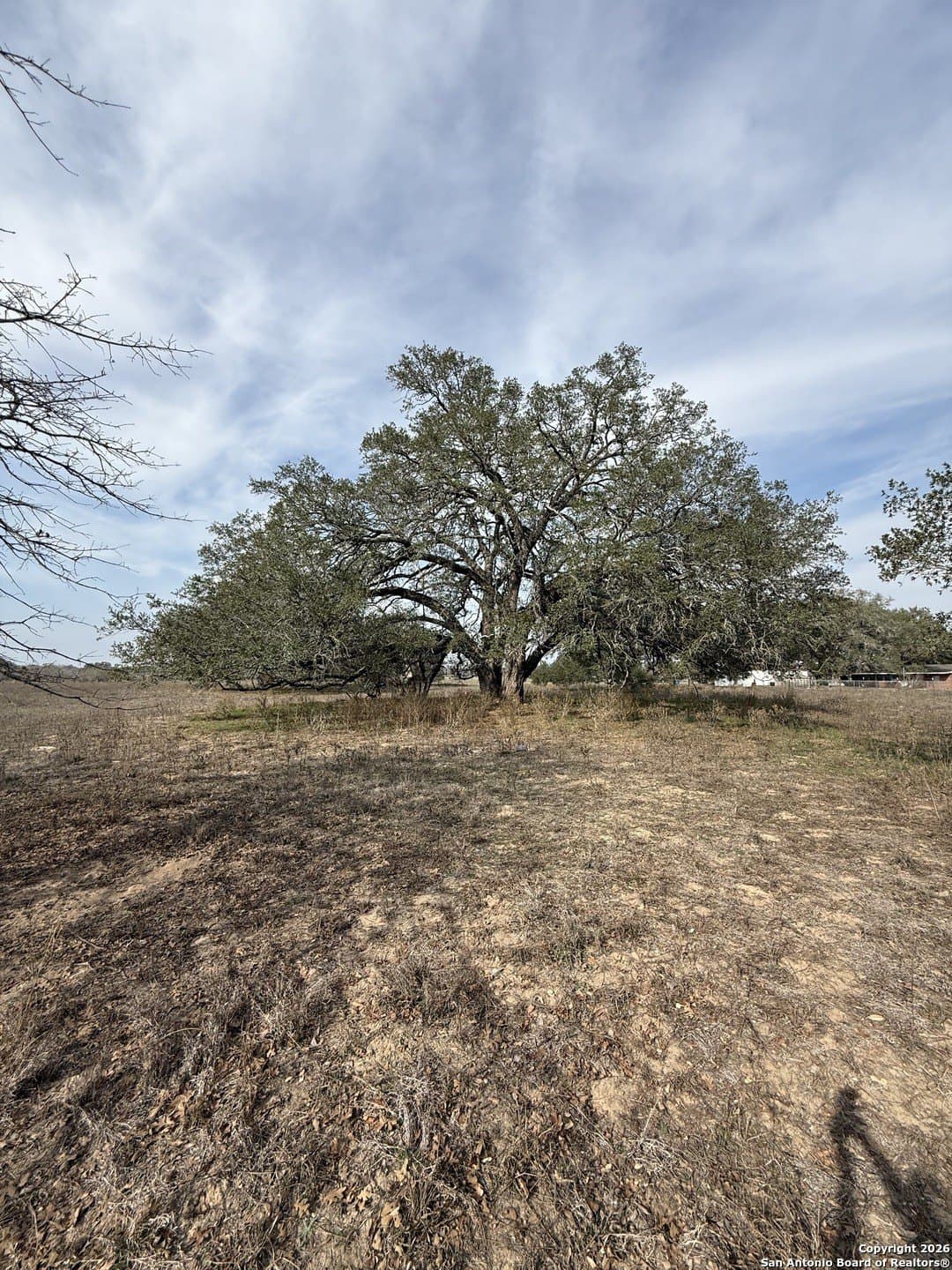 10.87 acres in Wilson County - photo 7