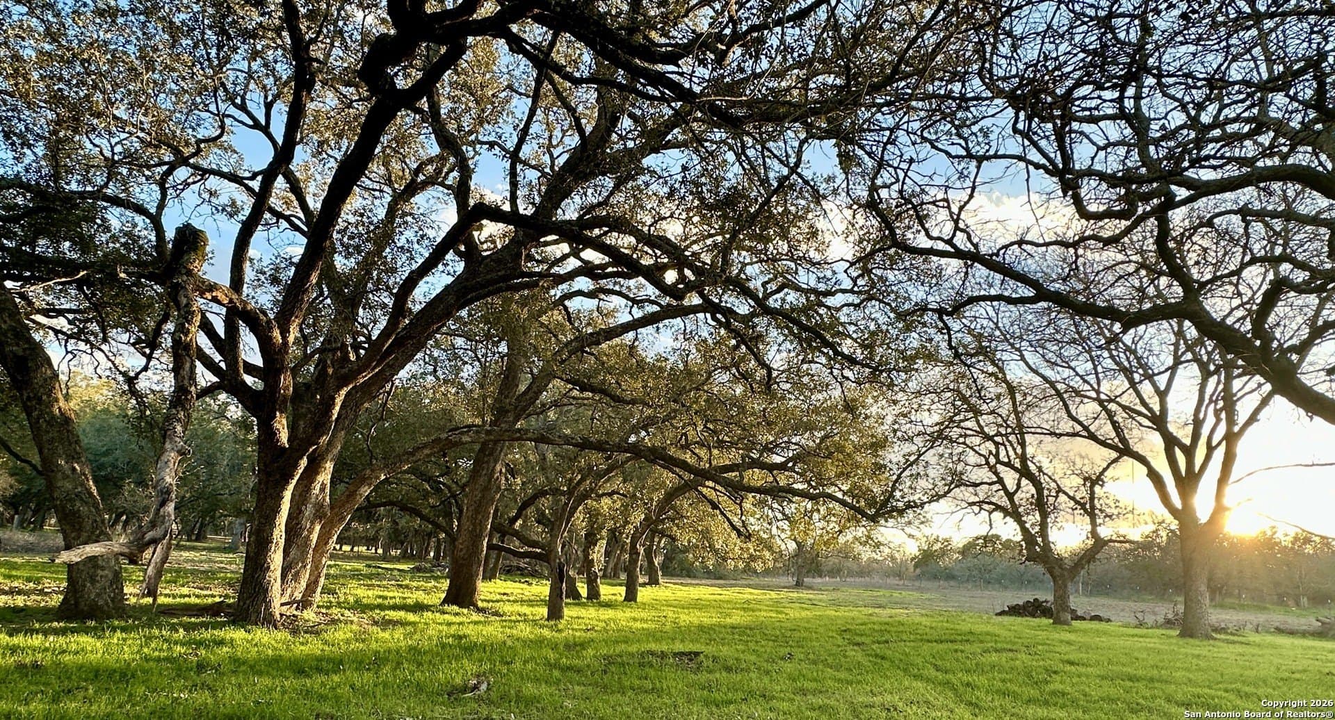 10.87 acres in Wilson County - photo 36