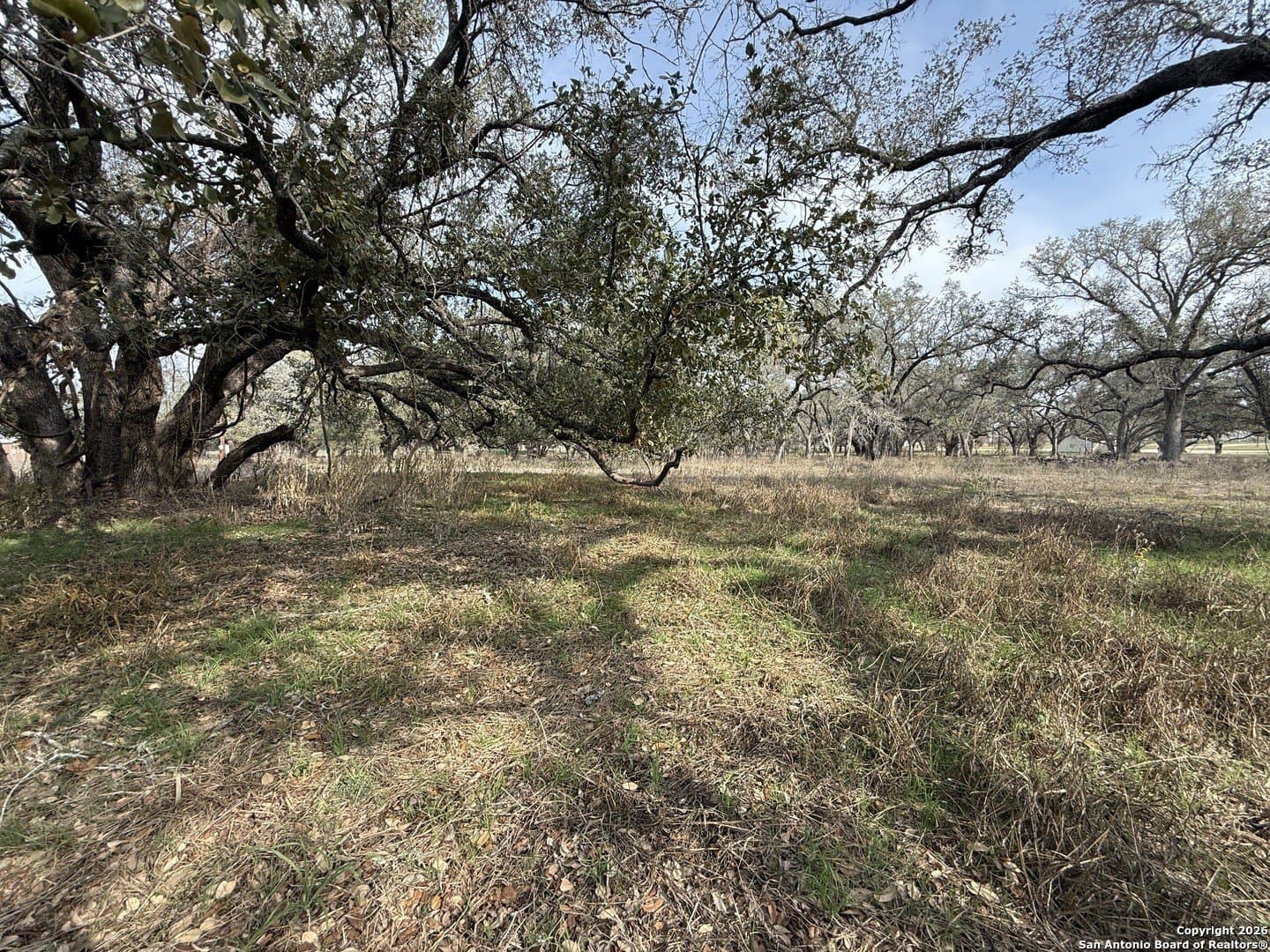 10.87 acres in Wilson County - photo 9