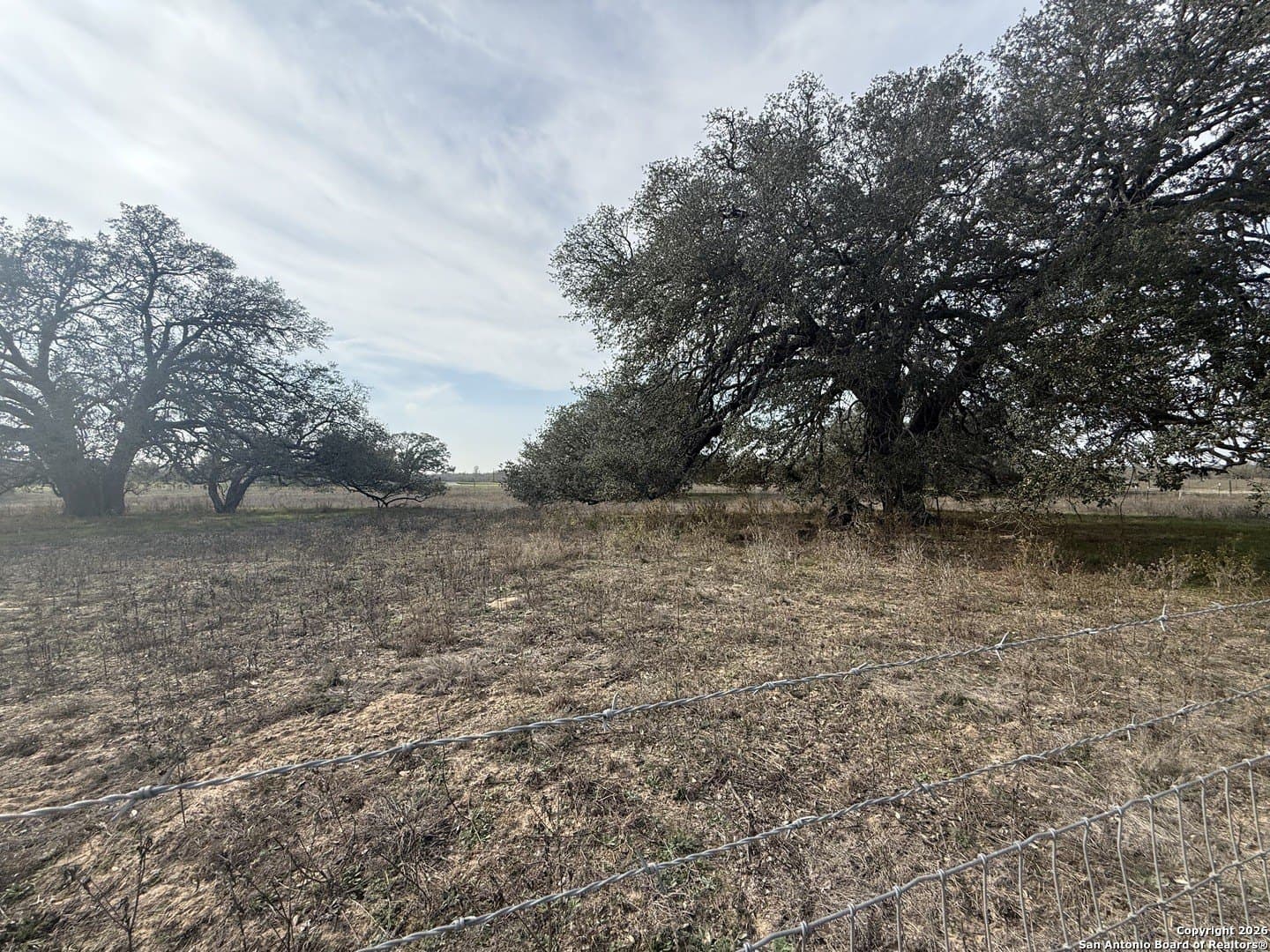10.87 acres in Wilson County - photo 22