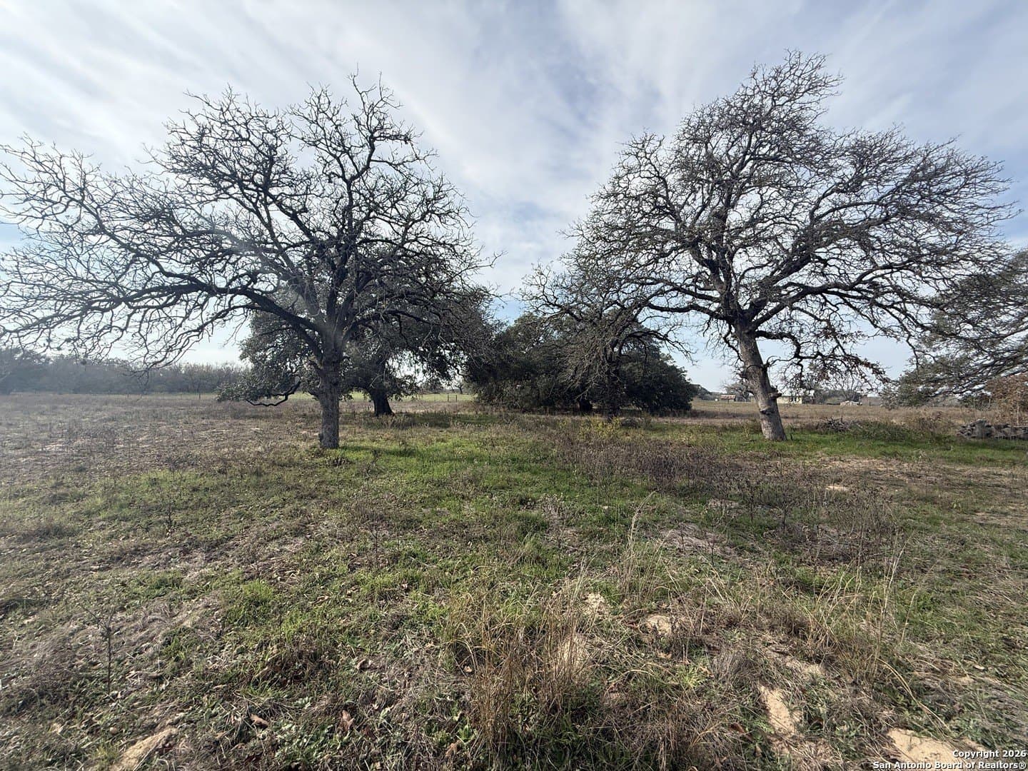 10.87 acres in Wilson County - photo 15