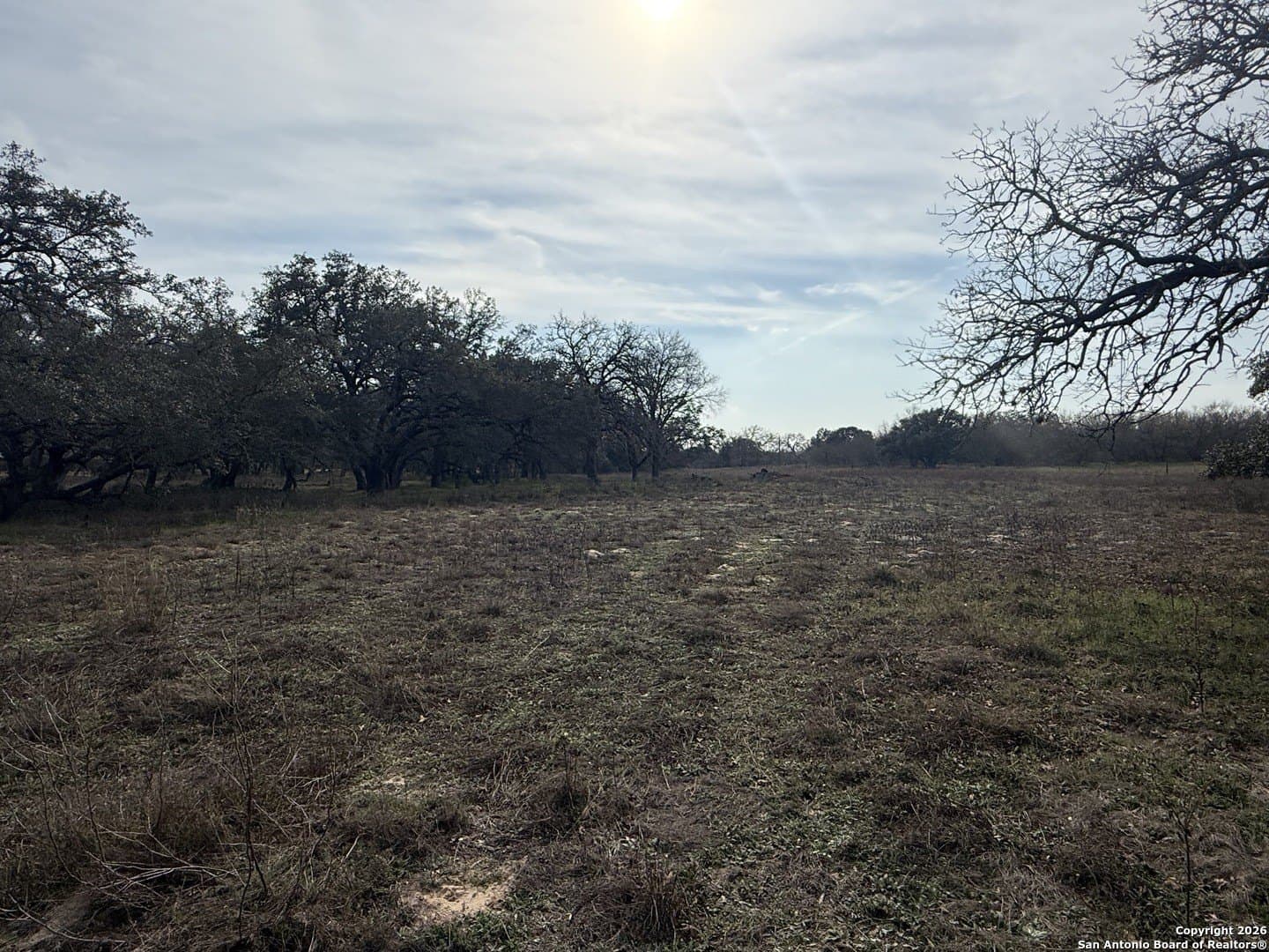 10.87 acres in Wilson County - photo 16