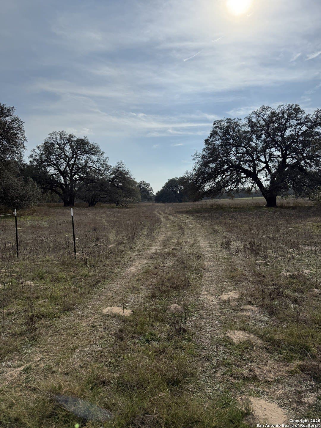 10.87 acres in Wilson County - photo 5