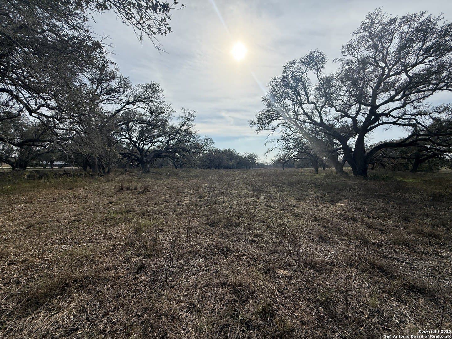 10.87 acres in Wilson County - photo 20