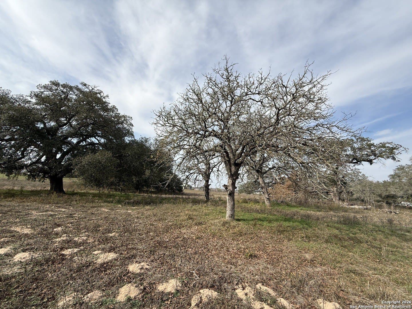 10.87 acres in Wilson County - photo 13