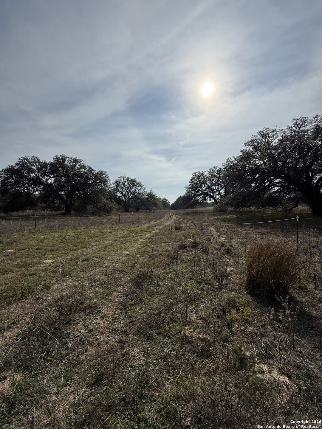 10.87 acres in Wilson County - photo 25