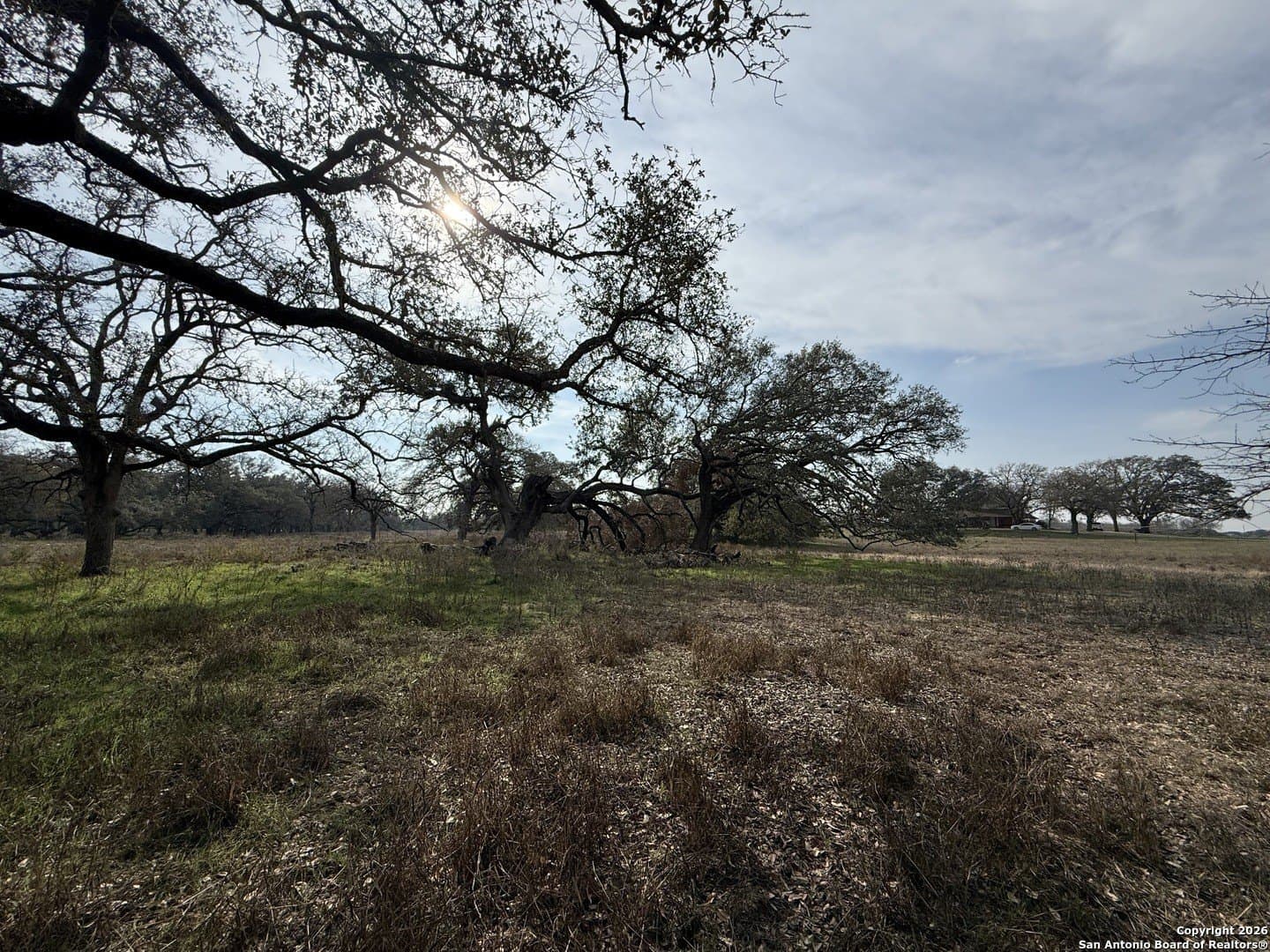 10.87 acres in Wilson County - photo 10
