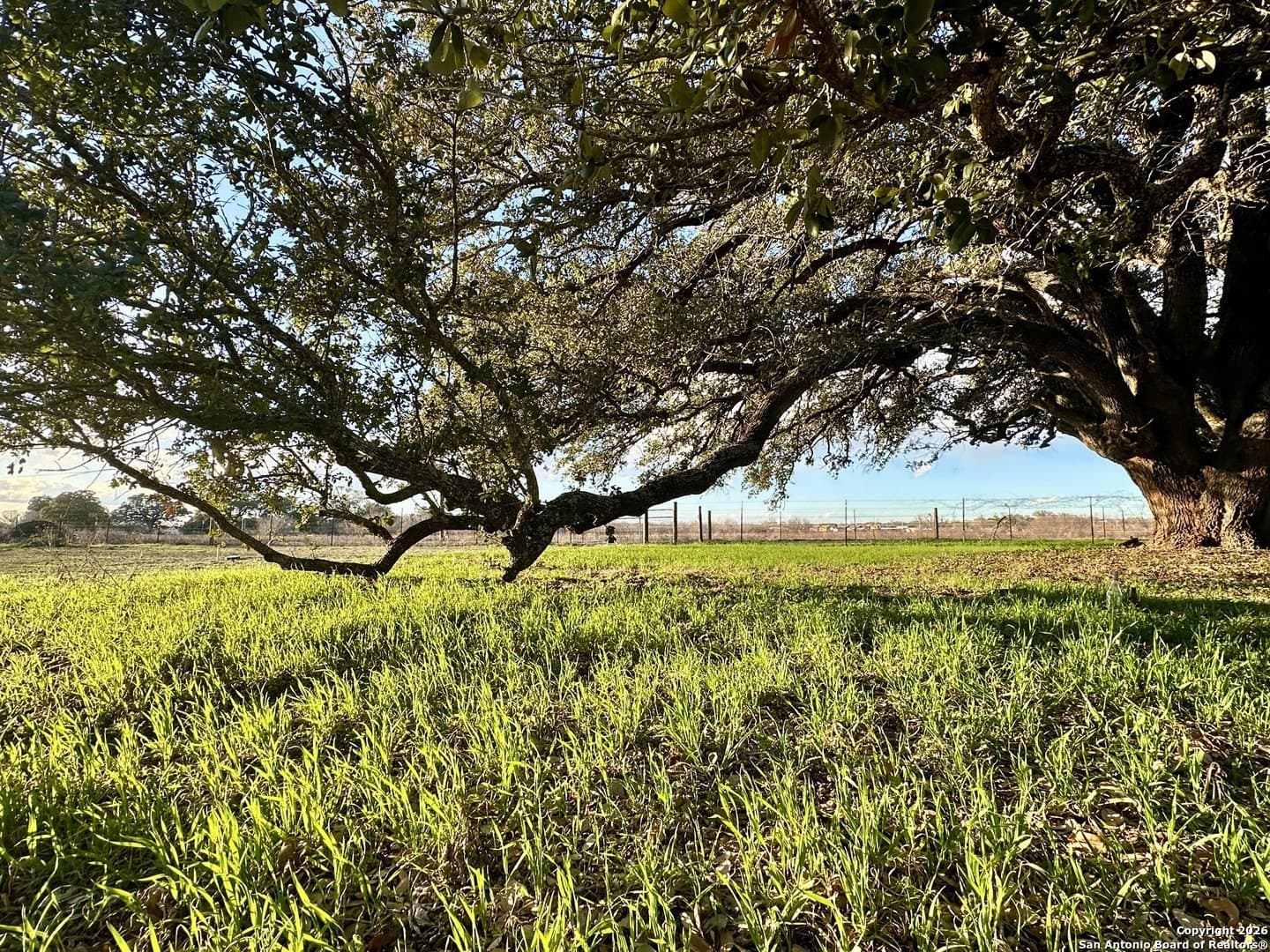 10.87 acres in Wilson County - photo 33