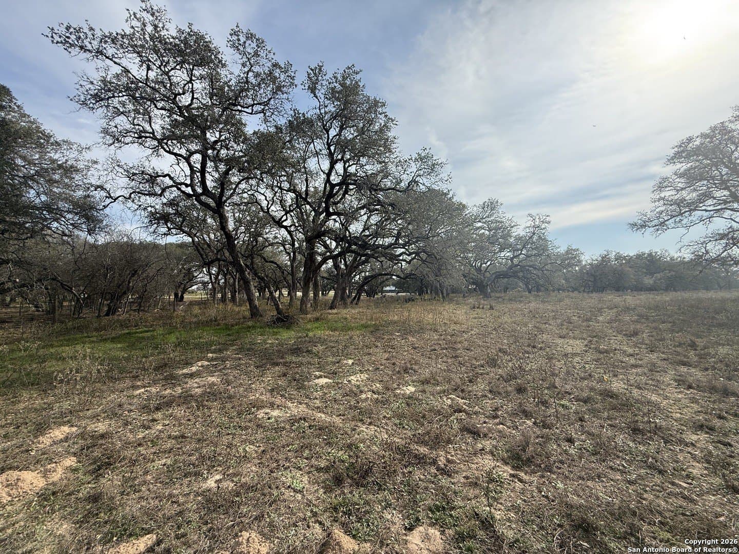 10.87 acres in Wilson County - photo 21