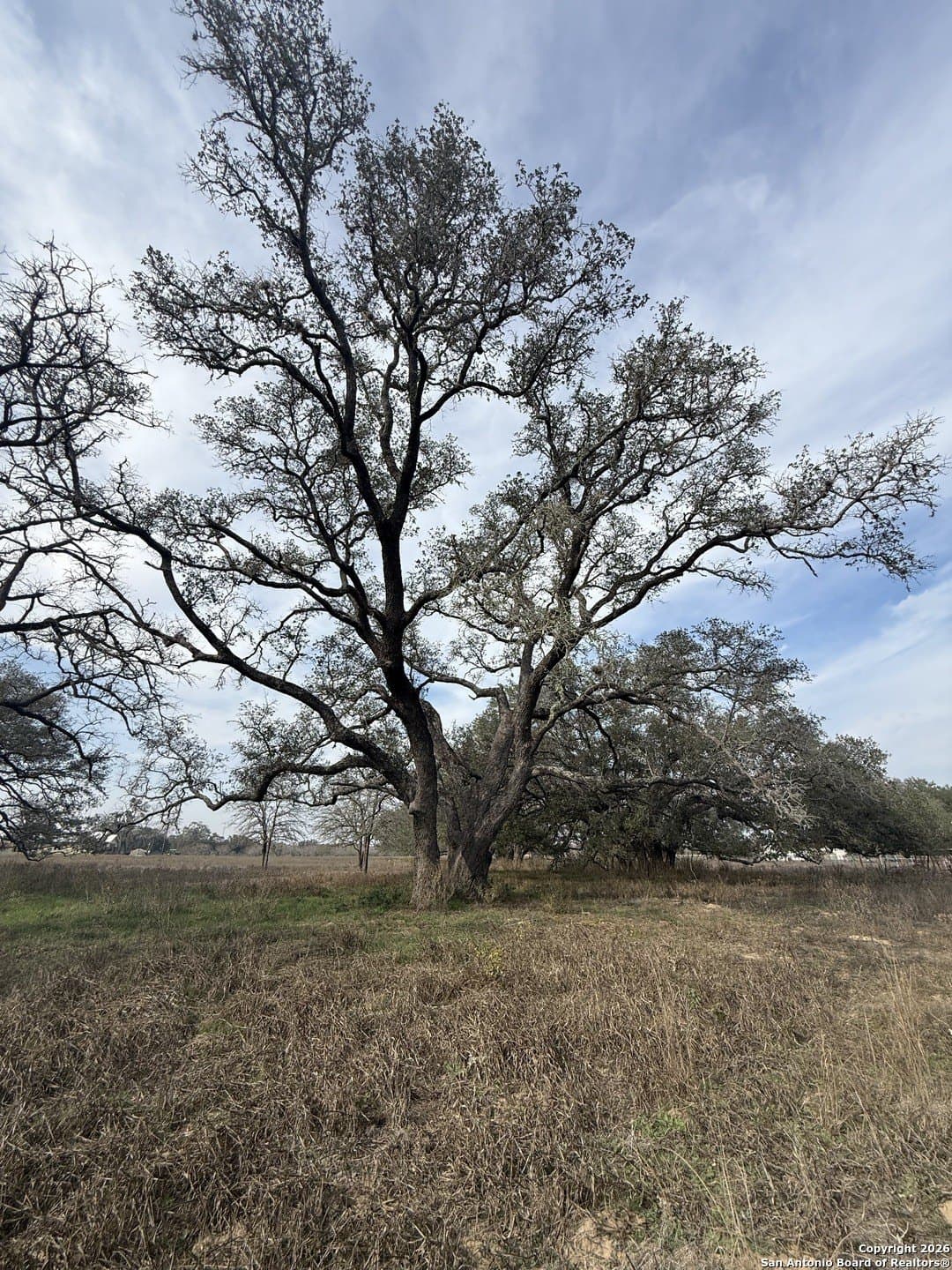 10.87 acres in Wilson County - photo 19