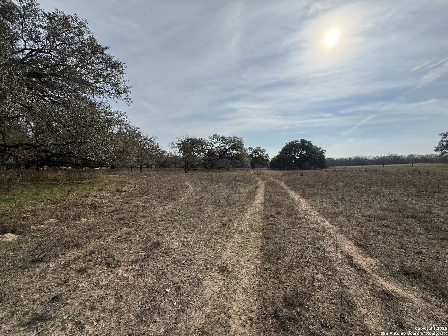10.87 acres in Wilson County - photo 6