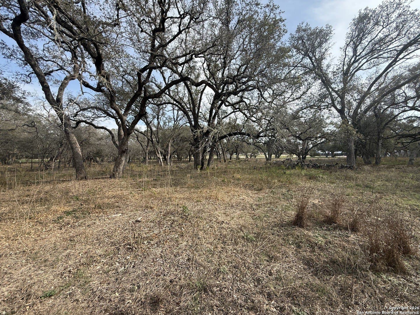 10.87 acres in Wilson County - photo 18